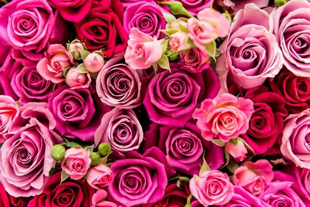 Bạn đã biết nguồn gốc, ý nghĩa của ngày Valentine 14/2? ảnh 3