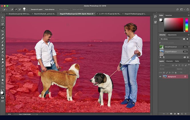 AI của Adobe sẽ giúp xác định chủ đề và nền trong những bức hình phức tạp tốt hơn. ẢNH: ADOBE