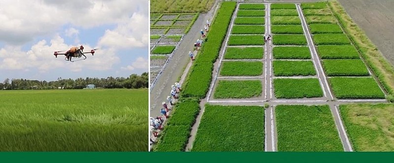 Nông nghiệp sinh thái  Lựa chọn cho nông nghiệp Việt Nam