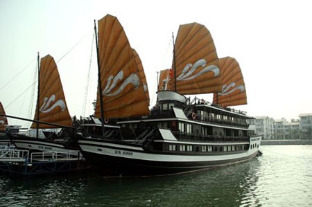 Đại gia xin lấn Vịnh Hạ Long xây biệt thự giàu cỡ nào? ảnh 5