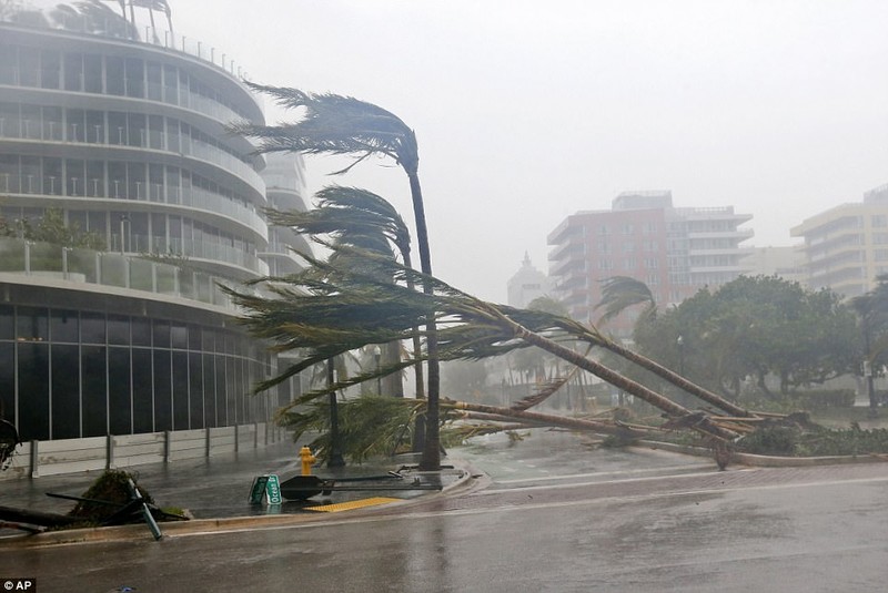 "Quái vật" Irma cuồng nộ khiến Florida (Mỹ) tan hoang ảnh 8
