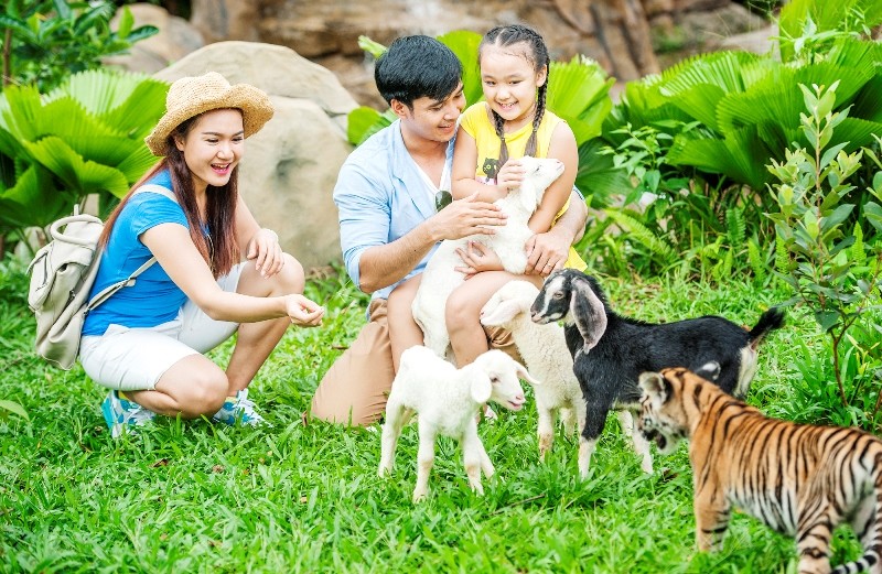 Vinpearl nâng cấp toàn hệ thống lên chuẩn 5 sao quốc tế ảnh 3 Vườn thú mở Safari chỉ có tại Vinpearl Phú Quốc