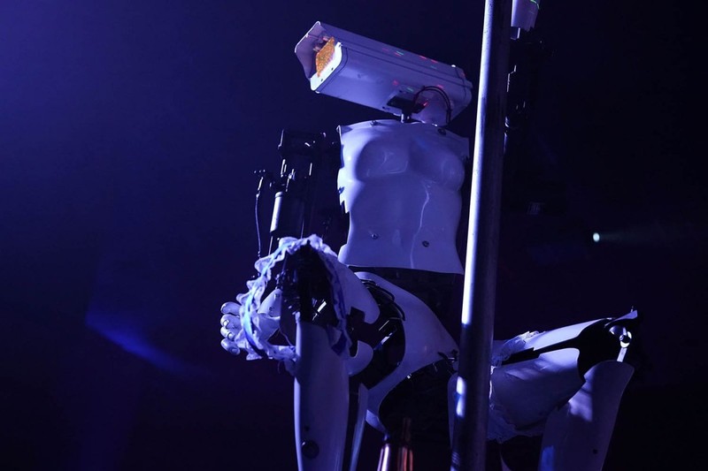 Xuất hiện Robot múa cột thoát y tại triển lãm CES 2018 ảnh 9 Xuất hiện Robot múa cột thoát y tại triển lãm CES 2018 ảnh 9
