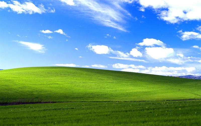 Cha đẻ của hình nền “tỉ view” Windows XP tái xuất ảnh 2 Cha đẻ của hình nền “tỉ view” Windows XP tái xuất ảnh 2