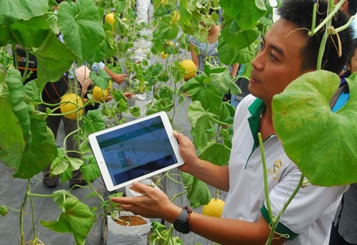 Ảnh minh hoạ: Internet