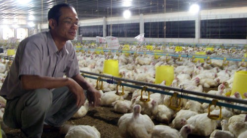Formosa muốn đầu tư nuôi heo, gà ở Quảng Bình