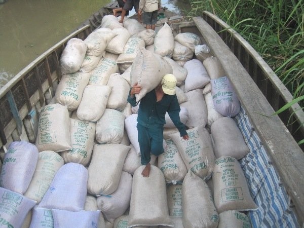 Dù rớt giá, gạo vẫn là một mặt hàng xuất khẩu chủ lực của Việt Nam