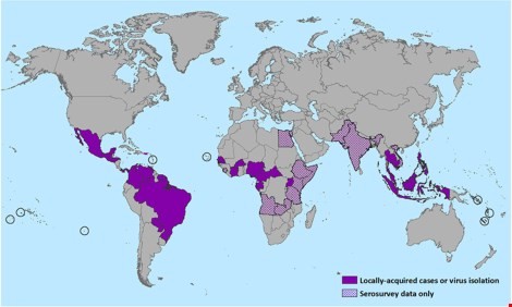 Mỹ xuất hiện virus Zika cực kỳ nguy hiểm