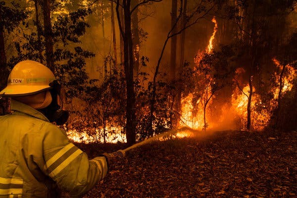 Thảm họa cháy rừng lớn nhất từ trước đến nay tại Úc (Ảnh: NYT)