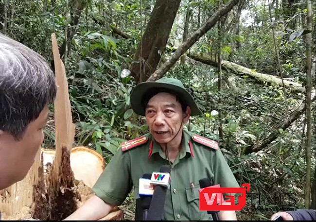 Đại tá Nguyễn Viết Lợi, Giám đốc Công an tỉnh Quảng Nam cho rằng, đây là vụ phá rừng đặc biệt nghiêm trọng, cần phải điều tra thật nhanh chóng, và xử lý nghiêm minh