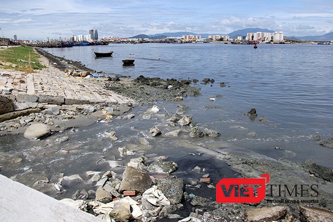 Tình trạng ô nhiễm tại Âu thuyền Thọ Quang đang diễn biến xấu