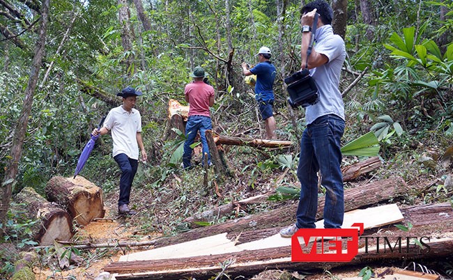 Tỉnh ủy Quảng Nam vừa có quyết định kỷ luật 3 tổ chức Đảng và 7 cá nhân liên quan đến vụ phá rừng Pơ mu tại khu vực biên giới tỉnh Quảng Nam-Lào