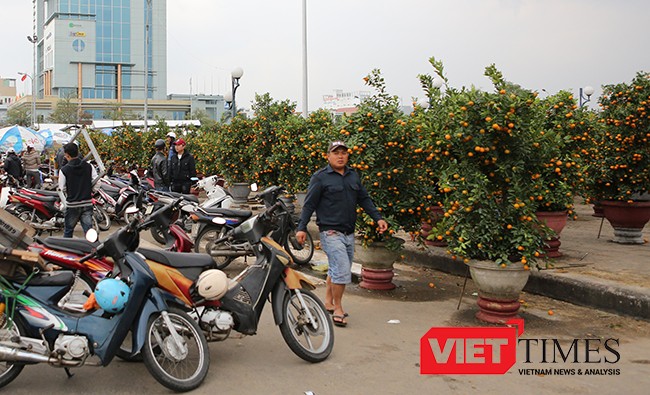 Mưa kéo dài, kinh doanh khó khăn, sáng 25/1, Chủ tịch UBND TP Đà Nẵng Huỳnh Đức Thơ quyết định giảm giá 50% tiền thuê mặt bằng bán hoa cho các tiểu thương.