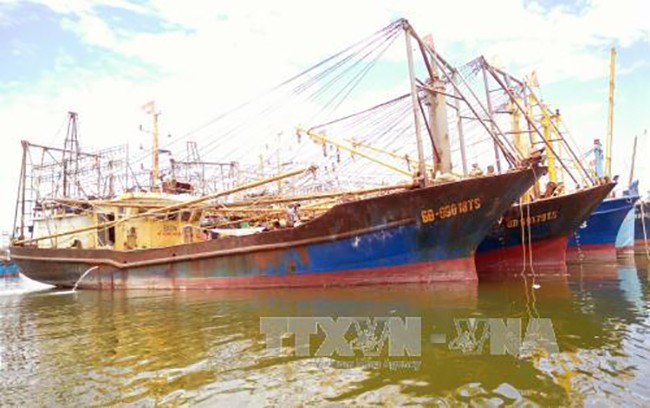 Nhiều câu hỏi lớn từ việc hàng loạt tàu cá vỏ thép ở Bình Định bị hư hỏng