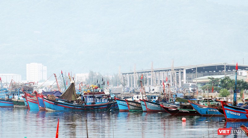 Chính phủ vừa ban hành Nghị định 17/2018/NĐ-CP sửa đổi, bổ sung một số điều của Nghị định số 67/2014/NĐ-CP ngày 07/7/2014 của Chính phủ về một số chính sách phát triển thủy sản với nhiều chính sách hỗ trợ nhằm đẩy mạnh phát triển thủy sản