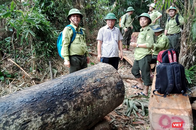 ông Lê Trí Thanh, Phó Chủ tịch UBND tỉnh Quảng Nam cùng đoàn công tác của tỉnh đã đi kiểm tra hiện trường phá rừng phòng hộ Sông Kôn tại khu vực giáp ranh giữa các xã của huyện Đông Giang.