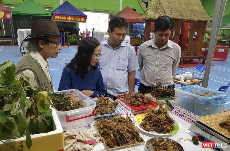 Một góc phiên Chợ sâm Ngọc Linh ở Quảng Nam
