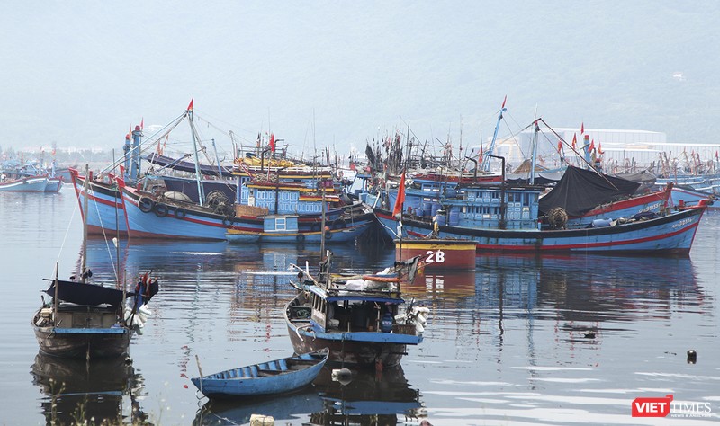 Tàu thuyền neo đậu tại âu thuyền Thọ Quang (Đà Nẵng)
