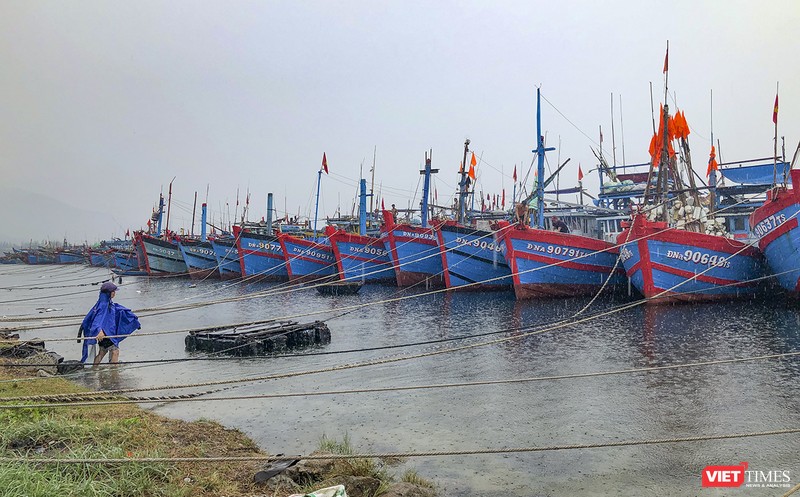 Tàu thuyền về neo đậu tại âu thuyền Thọ Quang (Đà Nẵng) để tránh bão số 5