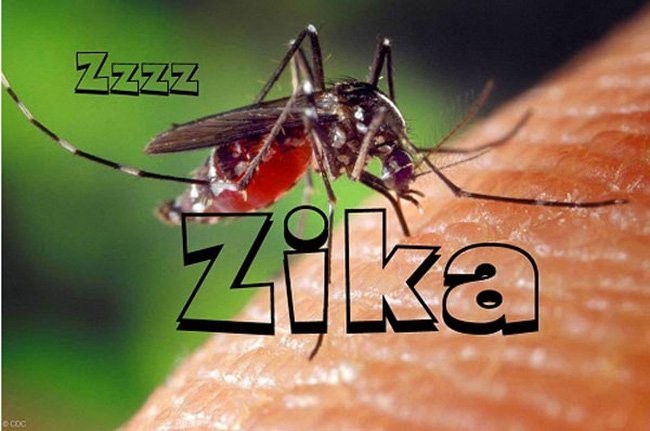 Tại Việt Nam đã phát hiện 5 trường hợp nhiễm virus Zika