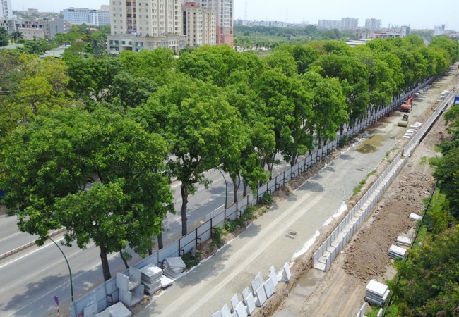 Việc chặt hạ hơn 1.000 cây xanh mới chỉ là đề xuất của Ban Quản lý đầu tư xây dựng các công trình giao thông Hà Nội.