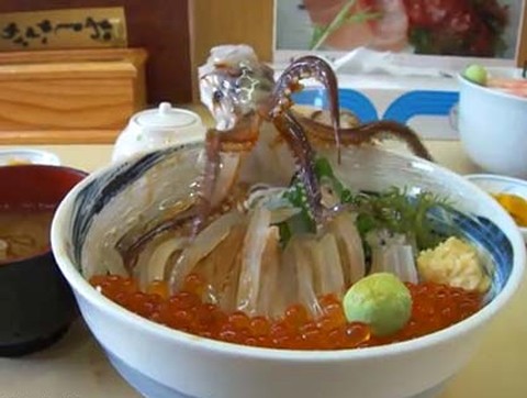Bạch tuộc sống là món khoái khẩu của người Hàn Quốc. Ảnh minh họa: Soshiok
