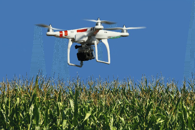 Một chiếc drone đang thu thập thông tin để phân tích cánh đồng ngô. Ảnh: Dronetechnews