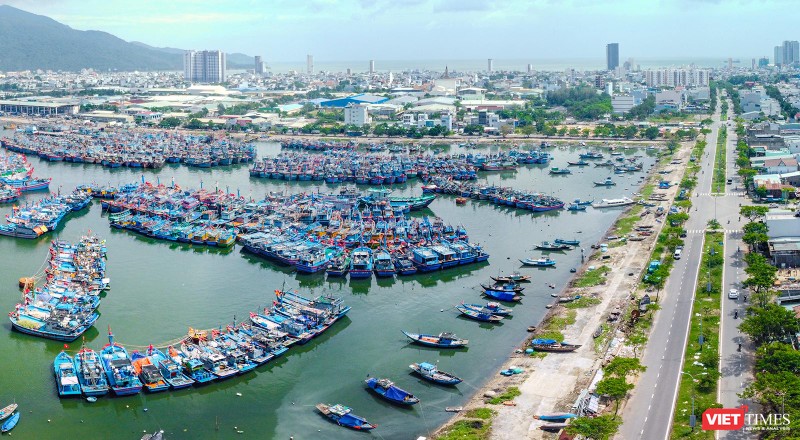 Cảng cá Thọ Quang (Đà Nẵng) nhìn từ trên cao (ảnh Nguyễn Trình)