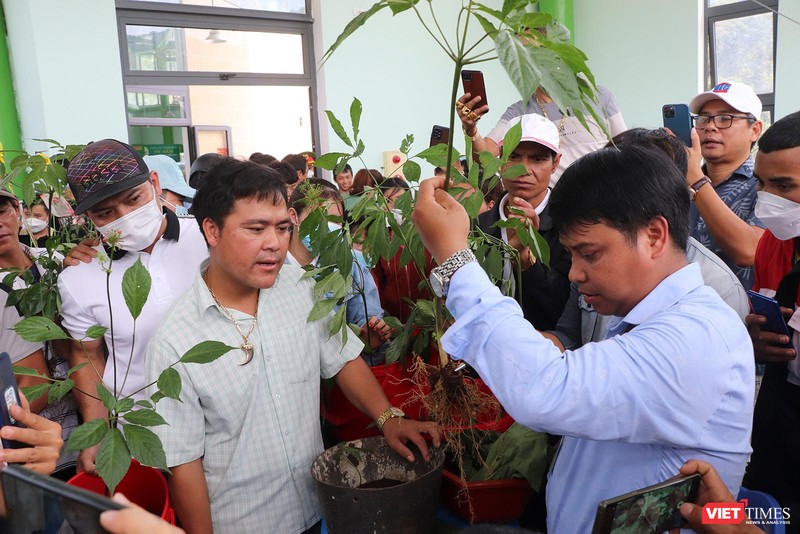 Người dân, du khách tham gia phiên chợ sâm tại Quảng Nam