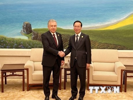 Chủ tịch nước Võ Văn Thưởng và Tổng thống Cộng hòa Uzbekistan Shavkat Mirziyoyev trong cuộc gặp tại Bắc Kinh (Trung Quốc) ngày 17/10/2023. (Ảnh: TTXVN phát)
