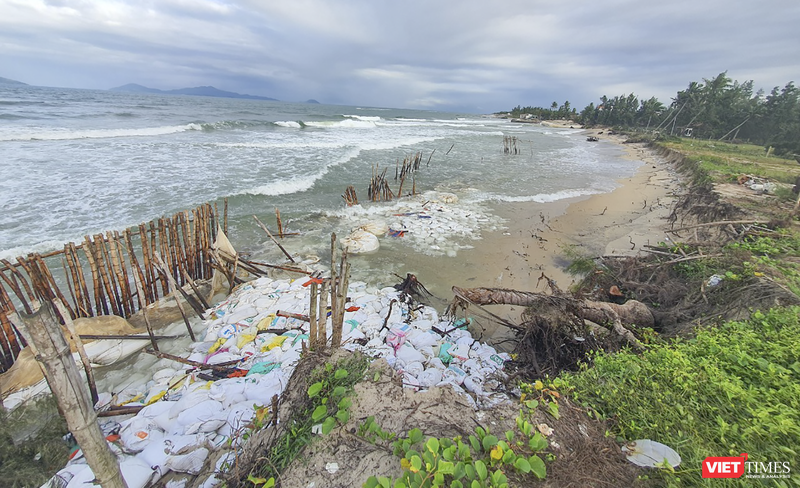 Bờ biển Cửa Đại (Hội An) bị xói lở nghiêm trọng