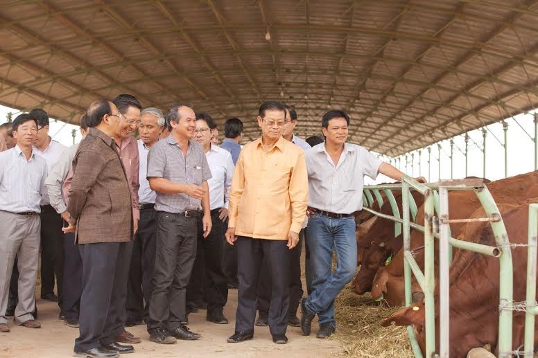 Phó thủ tướng Lào 'xông đất' nông trại chăn nuôi bò của bầu Đức