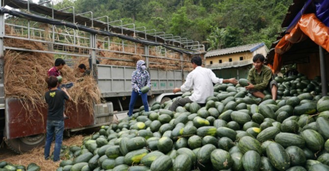 Hầu như năm nào cũng xảy hiện tượng ùn tắc nông sản ở cửa khẩu Tân Thanh (Lạng Sơn). Việt Nam luôn nhập siêu từ Trung Quốc và số liệu thống kê của hai bên vênh nhau tới 20 tỷ USD