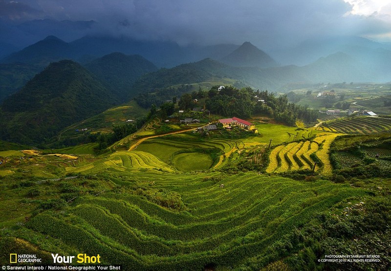 Mây sà xuống những thửa ruộng bậc thang đẹp sững sờ ở miền núi Việt Nam