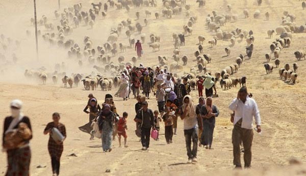 ISđã tạo ra một cuộc khủng hoảng người tị nạn Yazidi ởIraq. (Ảnh: Alalam)