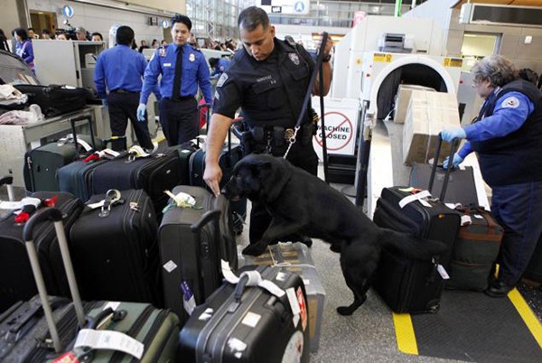 Nhân viên an ninh kiểm tra hành lý của hành khách tại sân bay ở Los Angeles. Ảnh: AP.