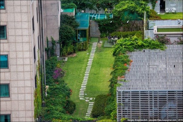 Vườn nhiệt đới trên mái nhà ở Seul
