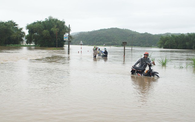 Ngập lụt tại huyện Tuy An, tỉnh Phú Yên - Ảnh: KHẮC NHO
