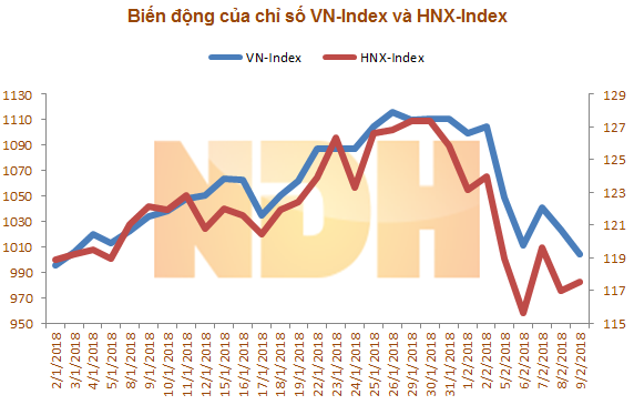 Biến động của VN-Index và HNX-Index