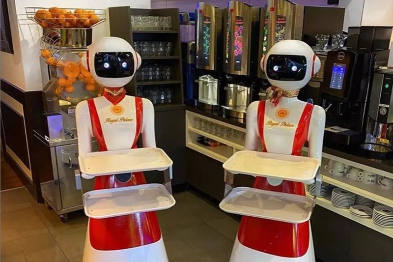 Robot phục vụ tại nhà hàng ở Hà Lan (ảnh: The Verge)