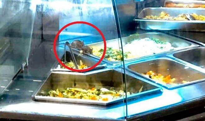 Chuột bò vào khay thức ăn ở Aeon Mall Tân Phú (ảnh: T.T.B)