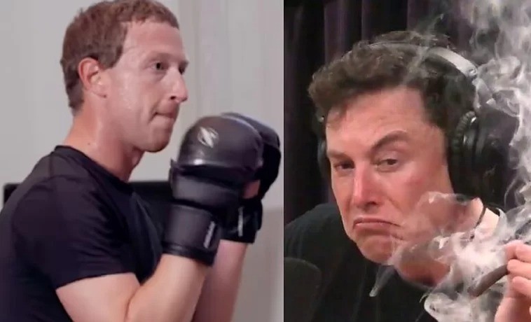 Tỉ phú Elon Musk có vẻ rất nghiêm túc trong việc đấu võ với CEO Meta Mark Zuckerberg