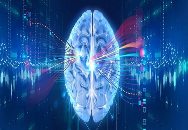 Công nghệ sẽ giúp não người trở nên bất tử (Ảnh Internet)
