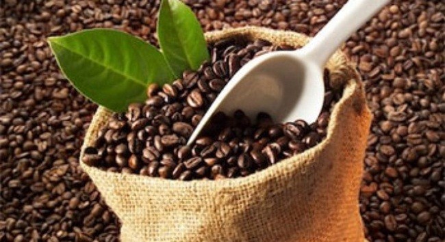 Ttrong 9 tháng đầu năm, xuất khẩu cà phê đạt 2,48 tỷ USD, tăng 22,1% - (Ảnh minh họa)