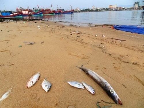 Tổng số tiền bồi thường thiệt hại môi trường tại huyện Lộc Hà, Hà Tĩnh là 207 tỷ đồng.