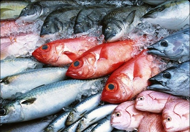 Chính phủ hỗ trợ giải quyết ngay lượng hàng hải sản tồn kho- (Ảnh minh họa).