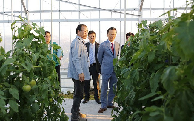 Phát triển nông nghiệp công nghệ cao là một hướng đi trọng tâm mới của Tập đoàn FLC. (Ảnh: FLC)
