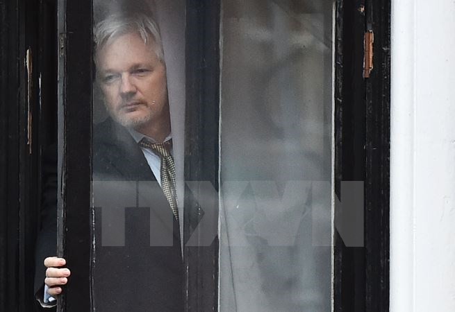 Ông Julian Assange tại Đại sứ quán Ecuador ở London, Anh ngày 5/2/2016. (Nguồn: AFP/TTXVN)