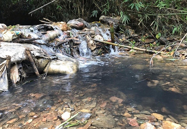Ô nhiễm nguồn nước đầu nguồn Sông Đà gây ảnh hưởng nghiêm trọng tới chất lượng nước cung cấp cho người dân Hà Nội 