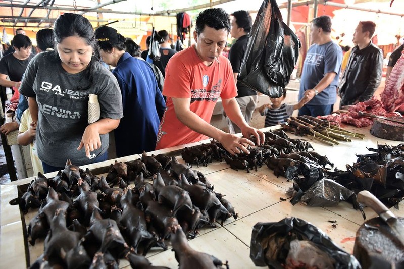 Các loài động vật hoang dã được bày bán công khai tại khu chợ Tomohon, Bắc Sulawesi, Indonesia (Ảnh: Bloomberg)